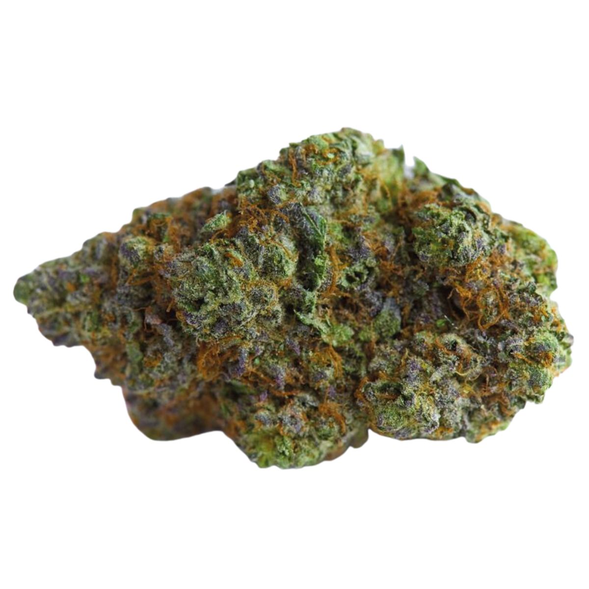 Blue Forestberry Autoflower seeds by Growers Choice