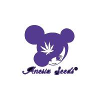 Anesia Seeds Flash Sale