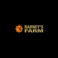 Barney’s Farm Flash Sale