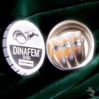 DinaFem Mix Pack #2