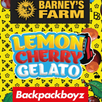 Lemon Cherry Gelato Cannabis Seeds
