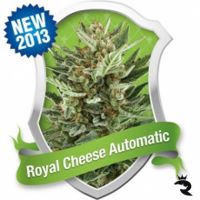 Royal Cheese Automatic