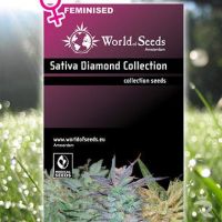 Sativa Diamond Collection