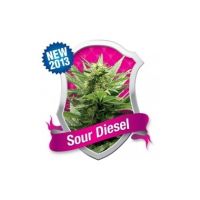 Sour Diesel