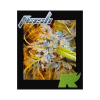 Speedy Gonzales Feminized