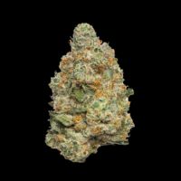 Apple Fritter Autoflower