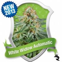 White Widow Automatic