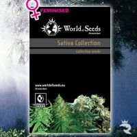 World of Seeds Landrace Sativa Collection