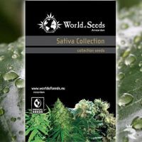 World of Seeds Sativa Collection
