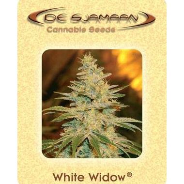 White Widow