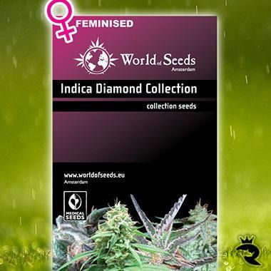 Indica Diamond Collection