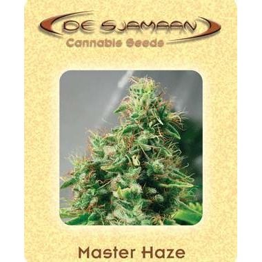 Master Haze