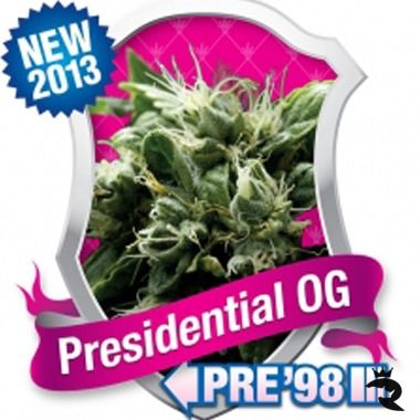 Presidential OG