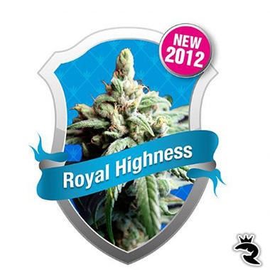 Royal Highness