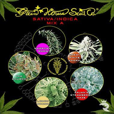 Sativa / Indica A  Mix