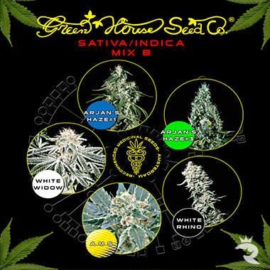 Sativa / Indica B  Mix