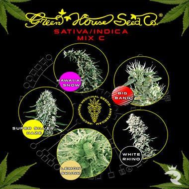 Sativa / Indica C  Mix