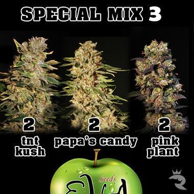 Special Mix 3