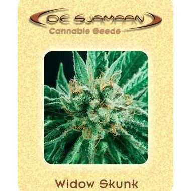 Widow Skunk