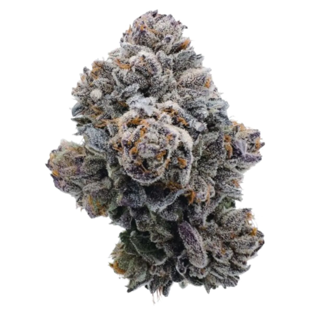 Pink Glitterbomb Feminized by Growers Choice