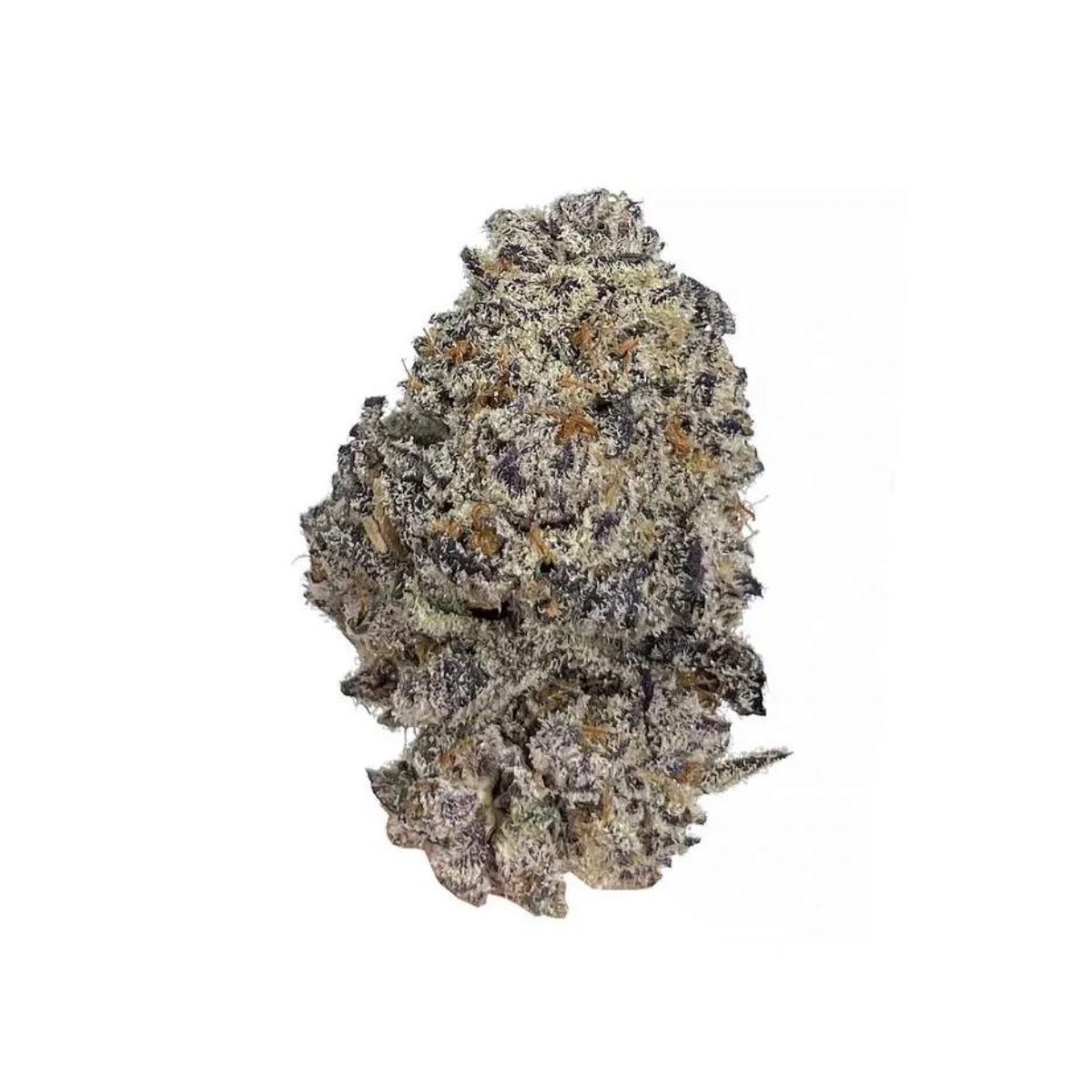 Original Oreoz (Feminized) by Growers Choice — rich dessert profile