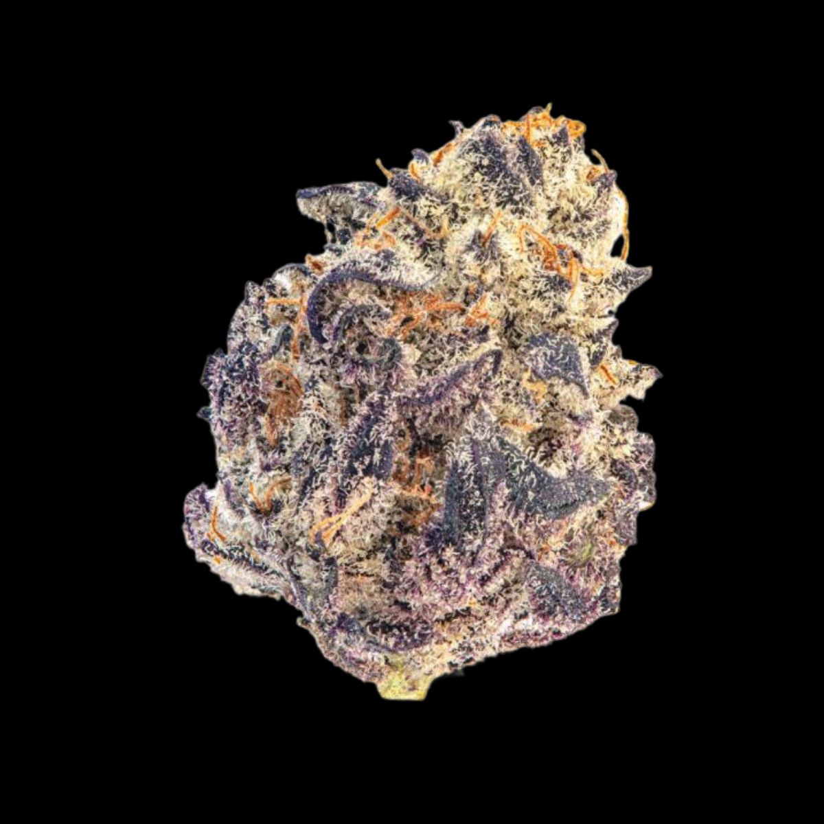 Cherry Mac Muffin feminized by Growers Choice