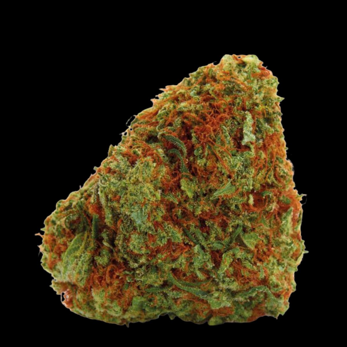 Bubblegum x Fat HOG (Feminized) by Growers Choice — sweet, chunky yields