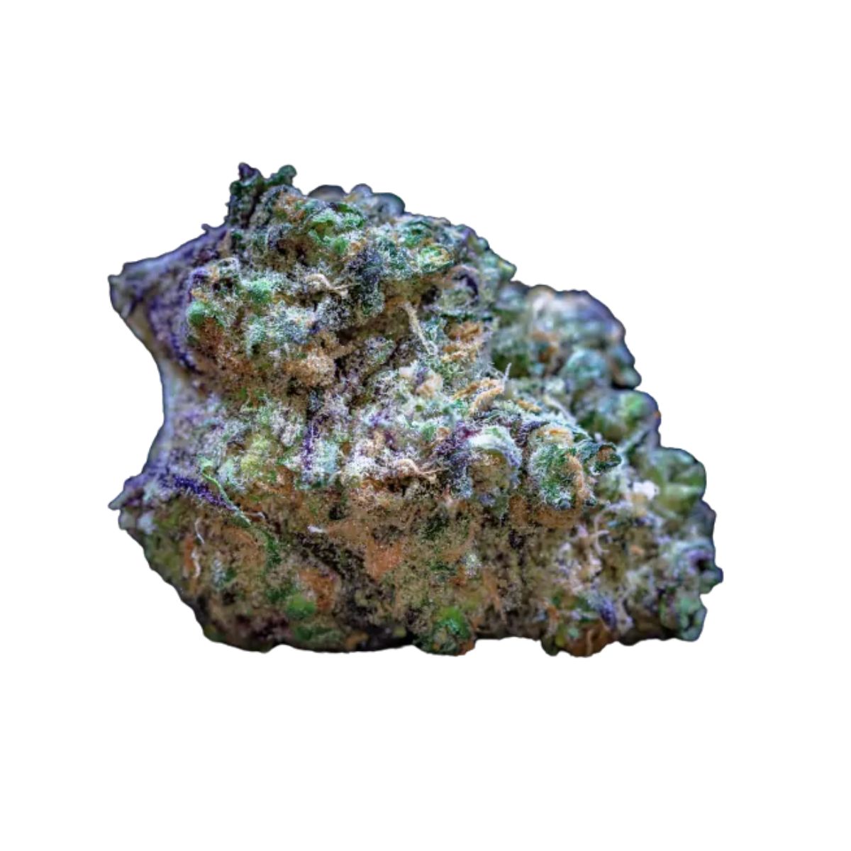 Frozen Cherry Runtz feminized seeds by Growers Choice