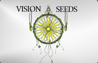 Vision Seeds