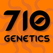 710 Genetics Autoflowering