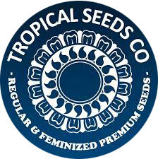 Tropical Seeds CBD