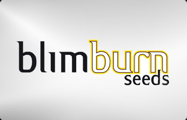 Certified Blim Burn Seeds