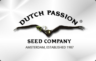 Dutch Passion Feminized