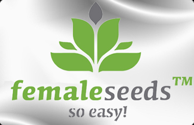 Female Seeds Autoflowering