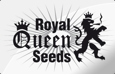 Royal Queen Seeds Autoflowering