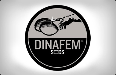 DinaFem Mix Pack's