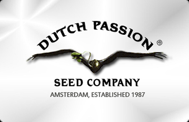 Dutch Passion CBD