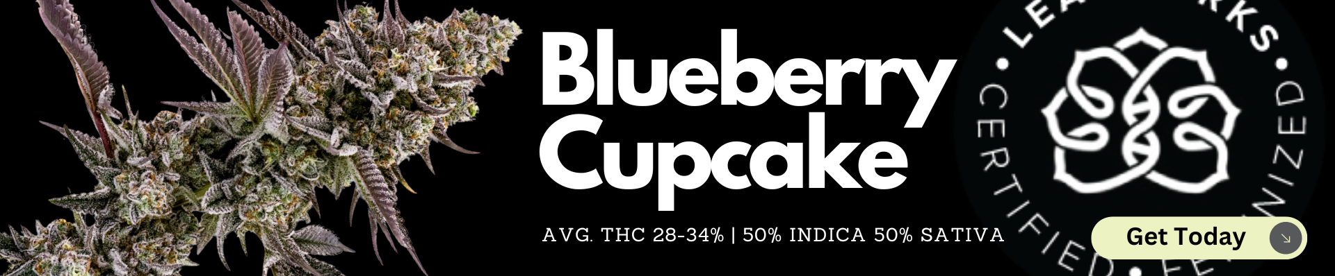BLUEBERRY CUPCAKE
