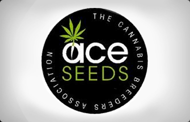 Ace Seeds Feminized