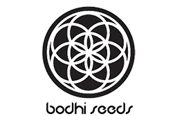Bodhi Seeds