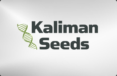 Kaliman Seeds