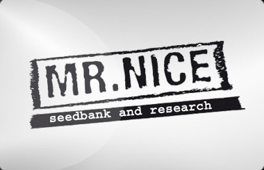 Mr Nice Feminized