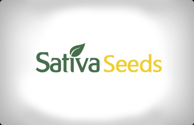 Sativa Feminized