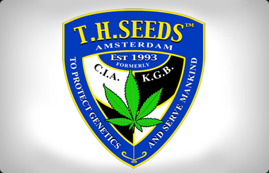 TH Cannabis Seeds 