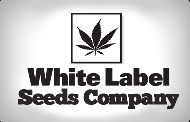 White Label Feminized