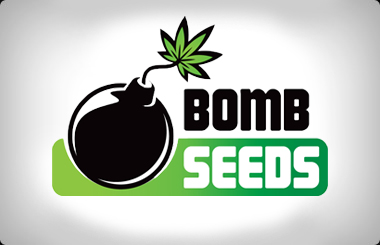 Bomb Seeds Feminised
